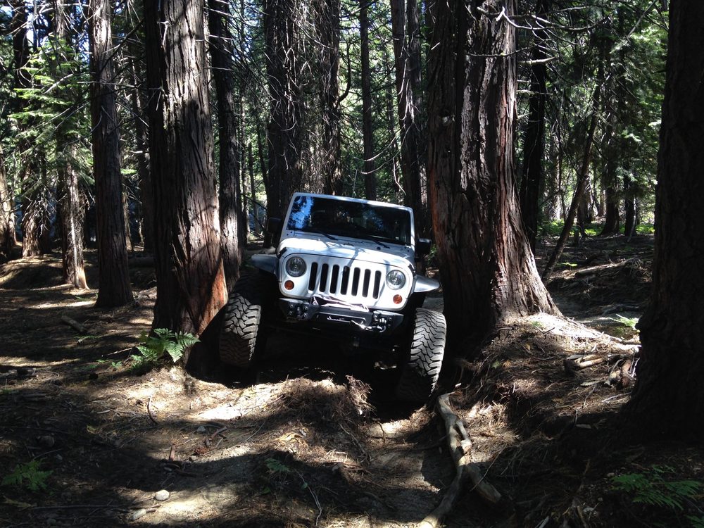 Photo from Fordyce Trail - Full
