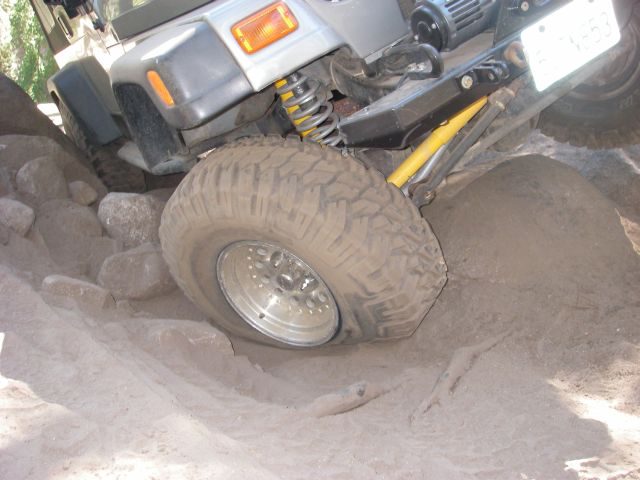 dusy008