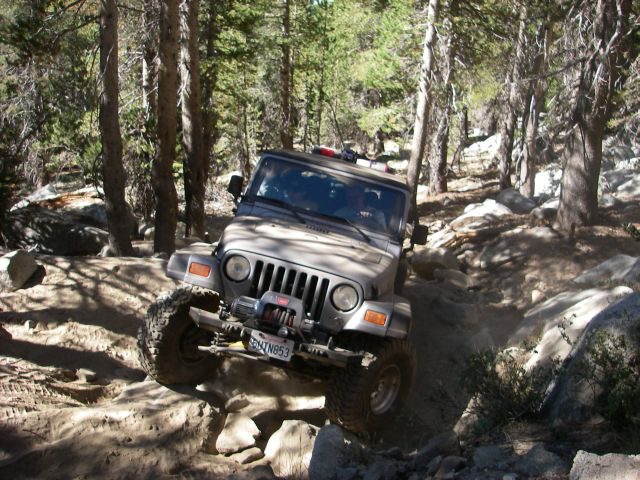 dusy048