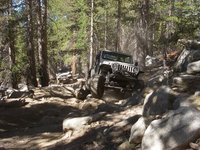 dusy045