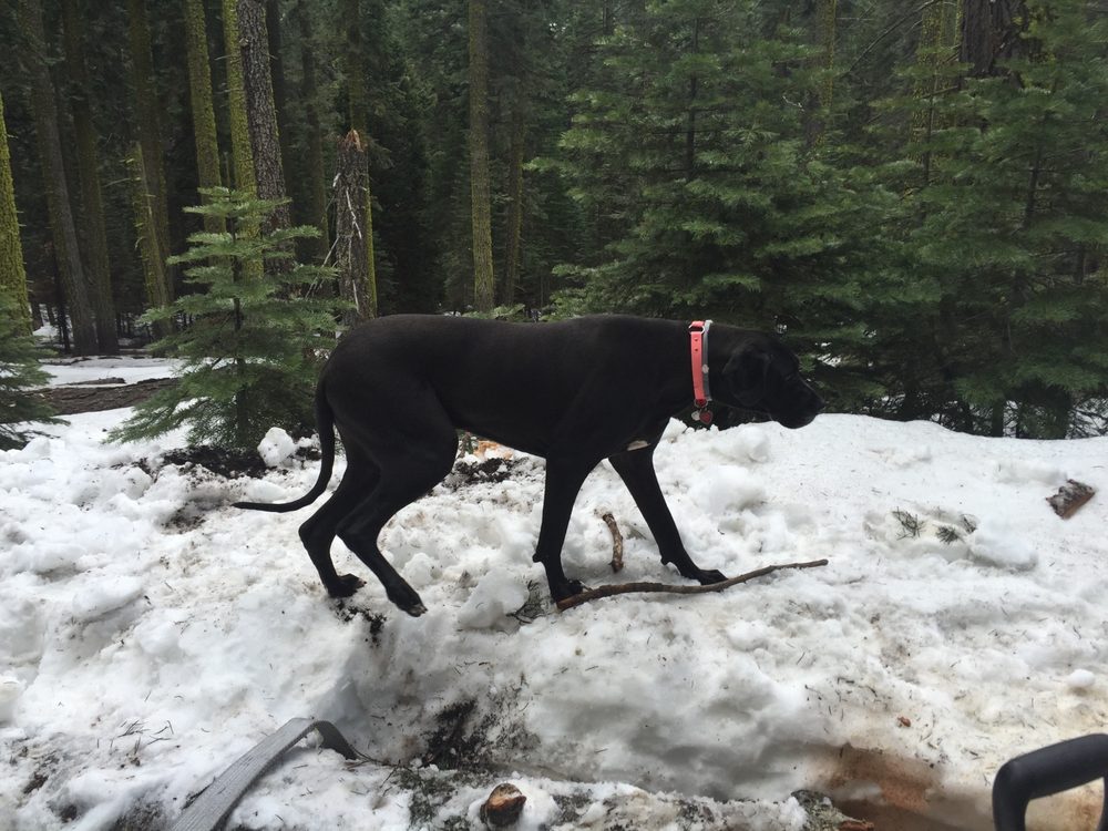 Photo from Packsaddle Pass