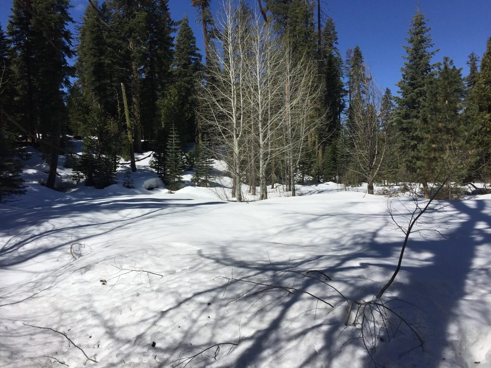Photo from Packsaddle Pass