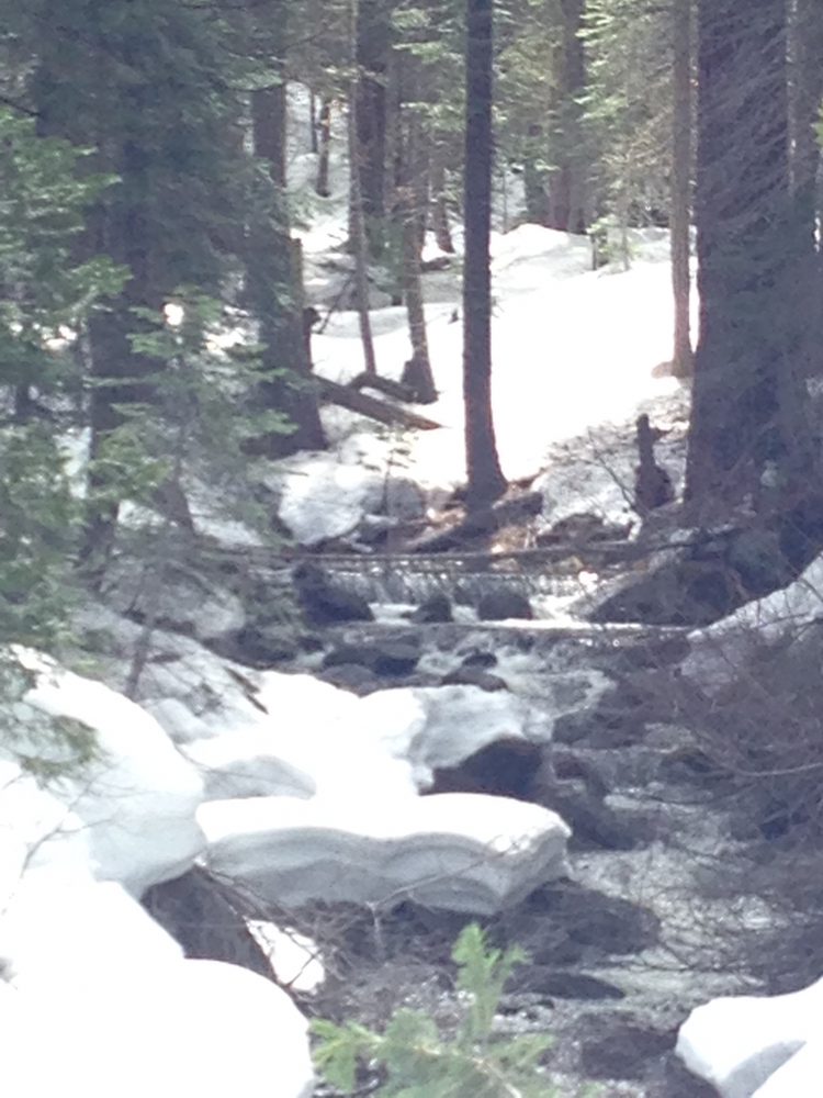 Photo from Packsaddle Pass