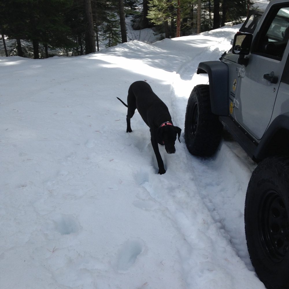 Photo from Packsaddle Pass