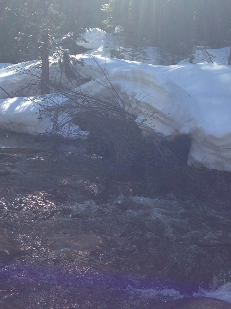 Photo from Packsaddle Pass