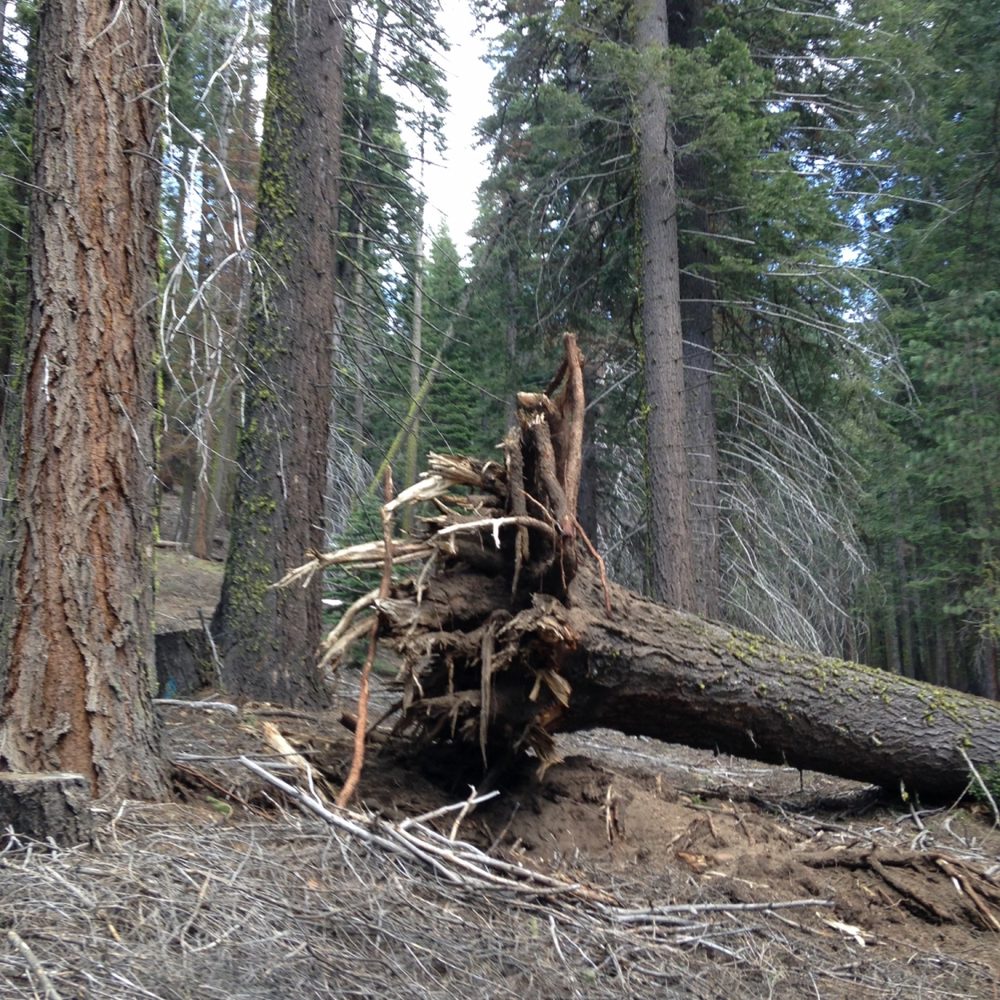 Photo from Packsaddle Pass