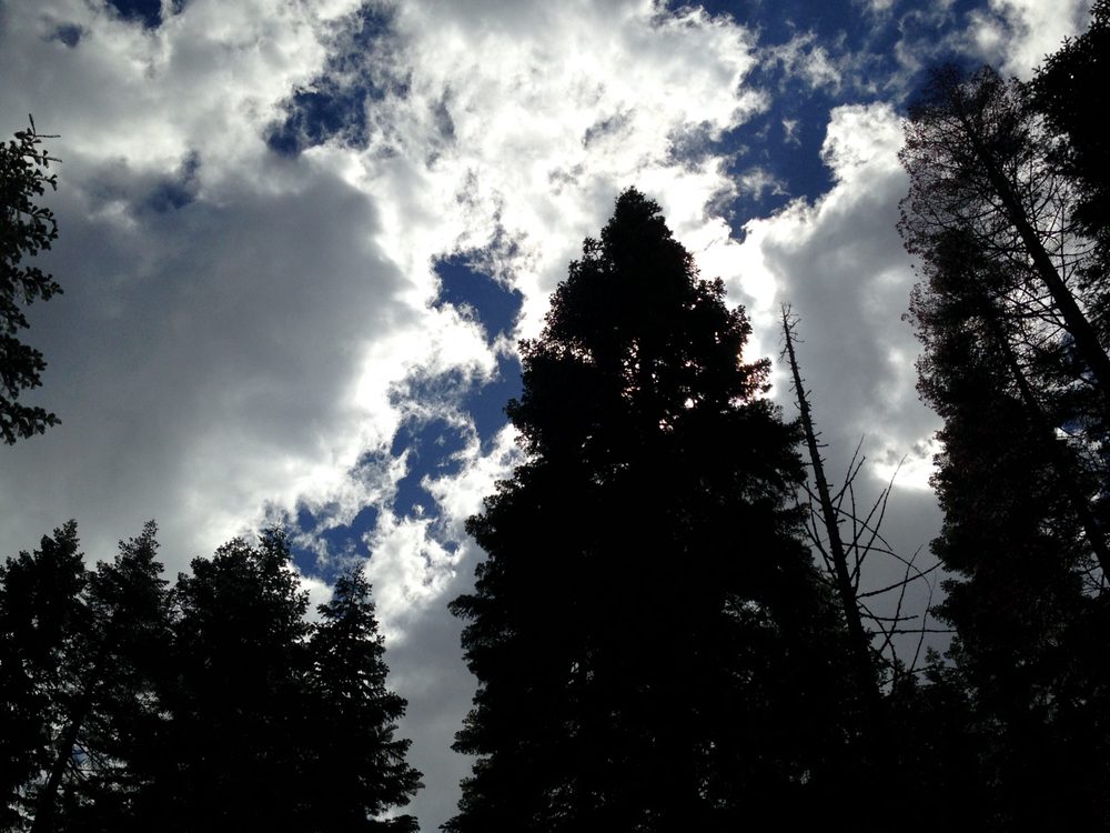 Photo from Packsaddle Pass