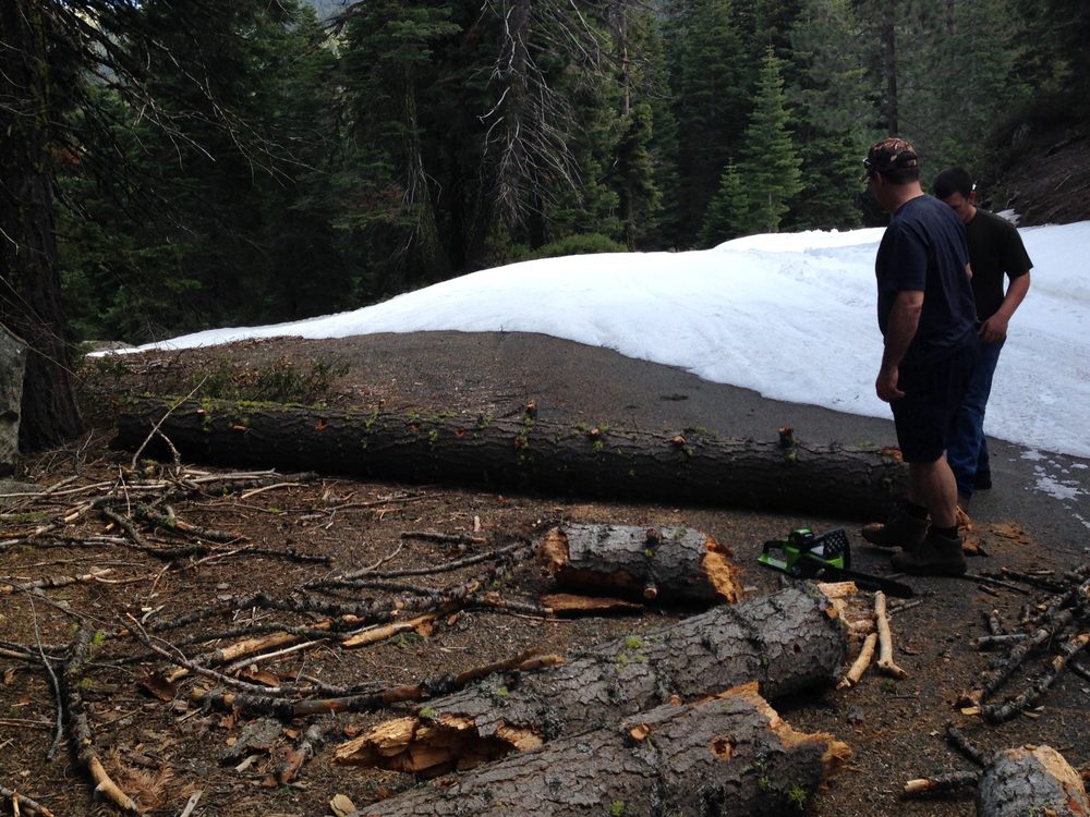 Photo from Packsaddle Pass