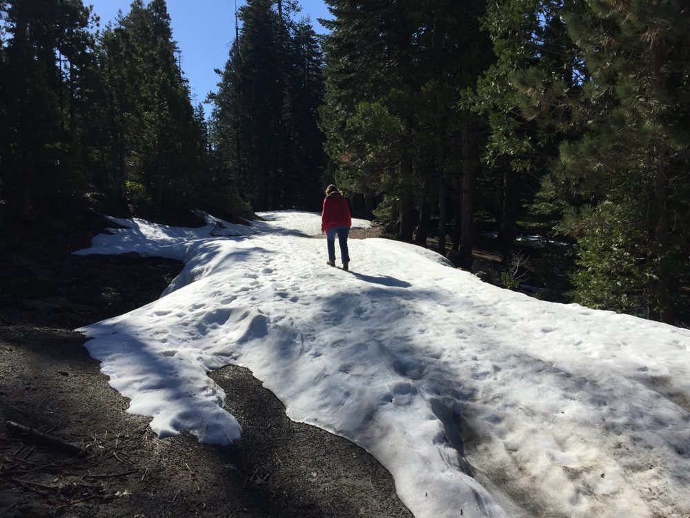 Photo from Packsaddle Pass