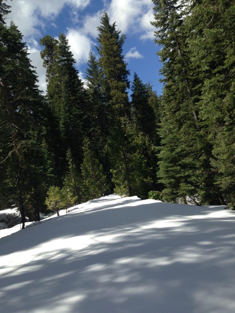 Photo from Packsaddle Pass