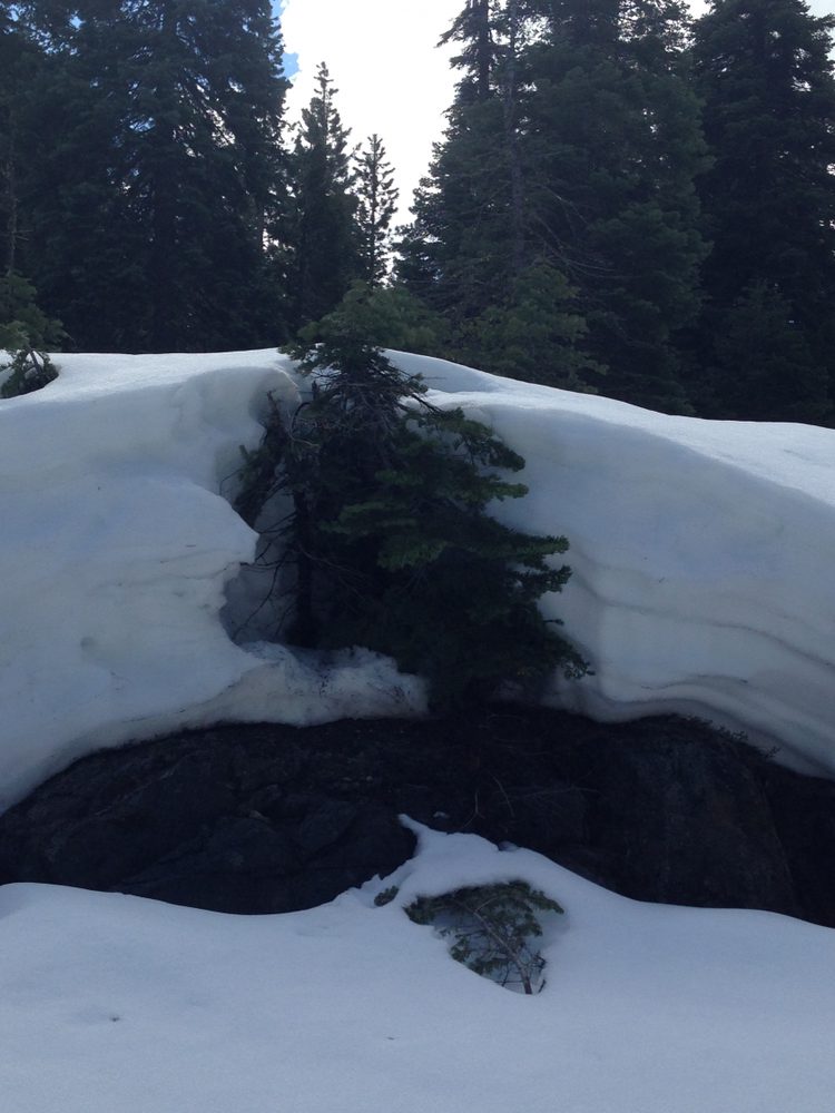 Photo from Packsaddle Pass