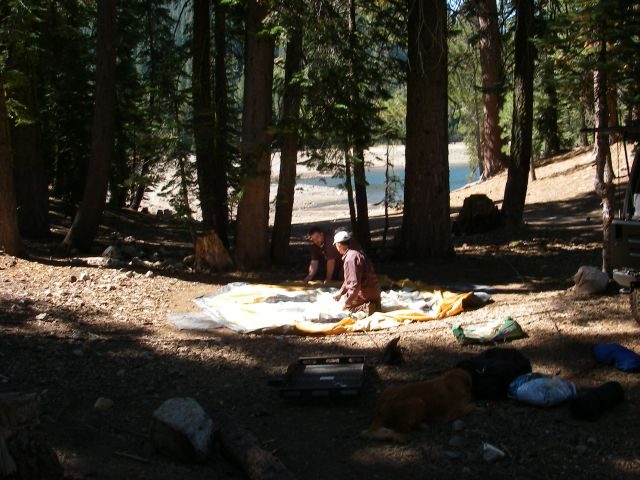 jacksonmeadows007