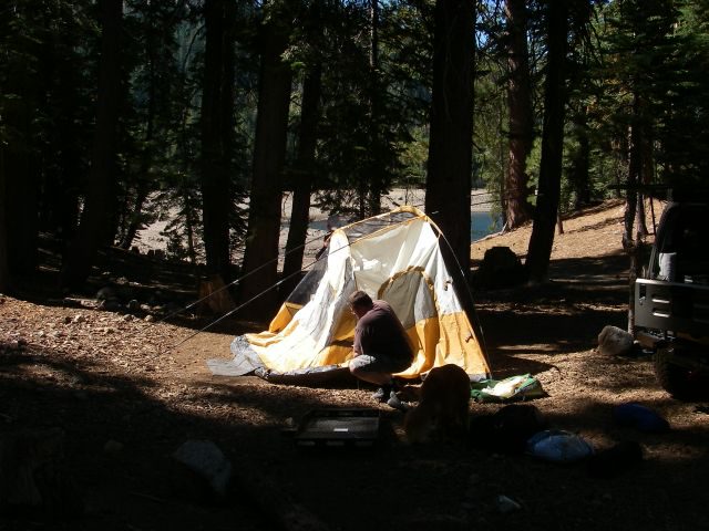 jacksonmeadows010