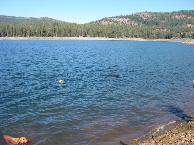 jacksonmeadows032
