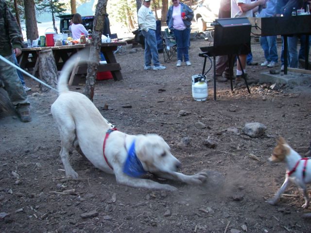 jacksonmeadows062