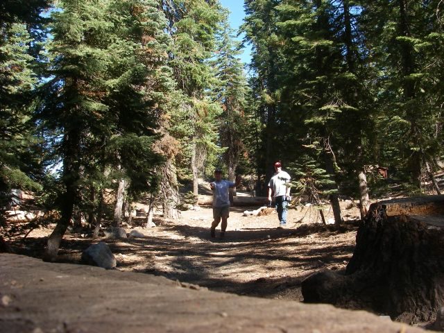 jacksonmeadows021