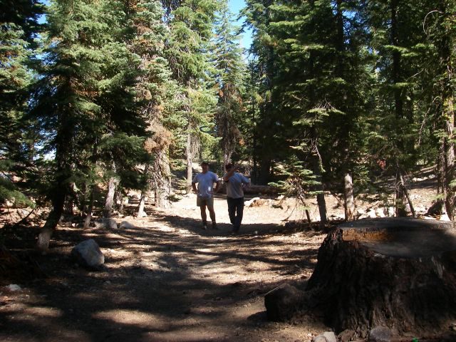 jacksonmeadows022