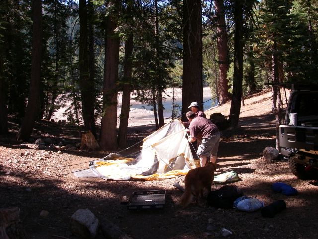 jacksonmeadows009