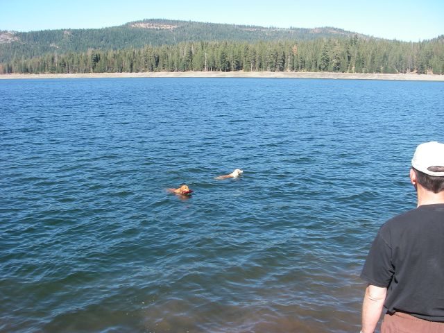 jacksonmeadows031