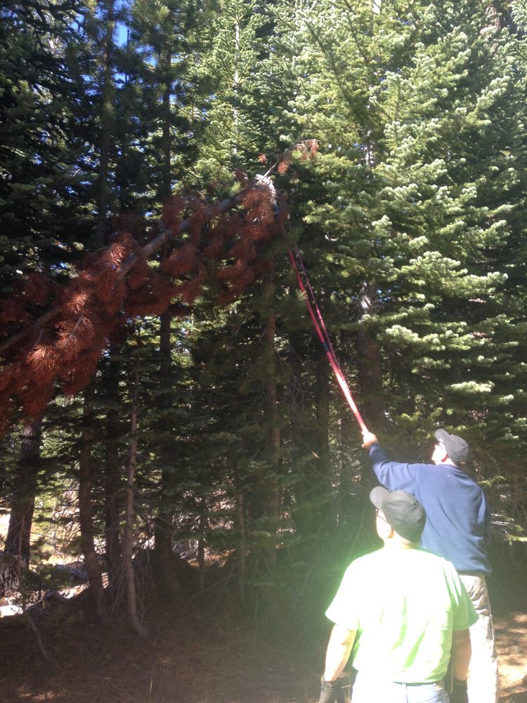 2014-1211