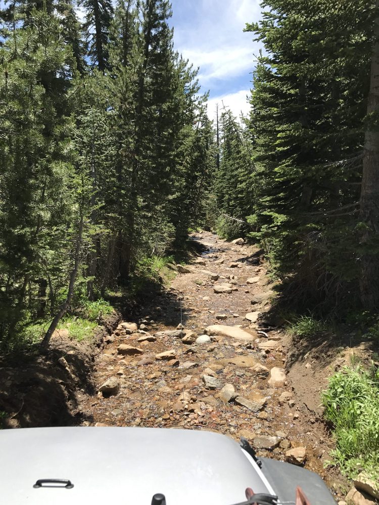 Photo from Strawberry Trail Patrol