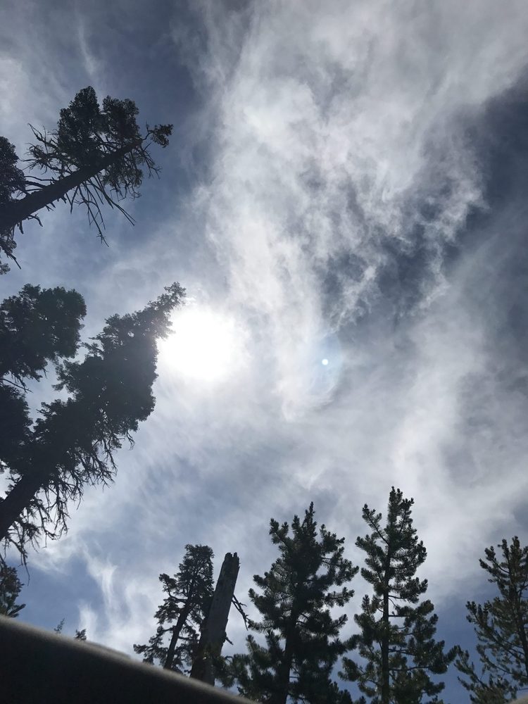 Photo from Strawberry Trail Patrol