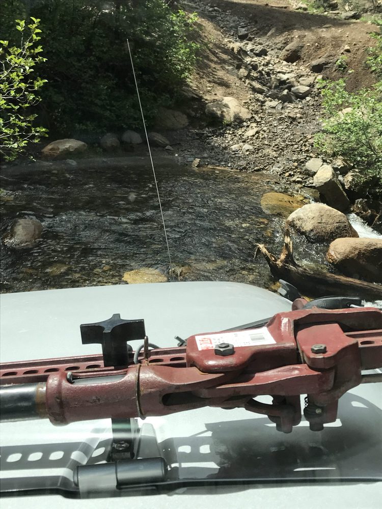 Photo from Strawberry Trail Patrol