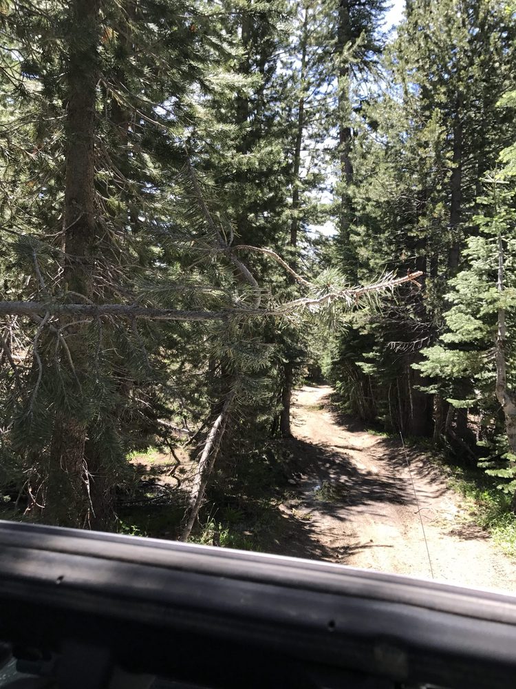 Photo from Strawberry Trail Patrol