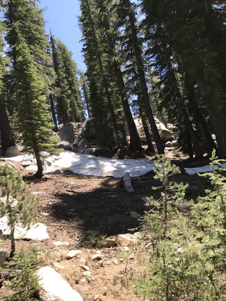 Photo from Strawberry Trail Patrol