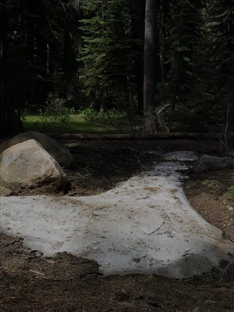 Photo from Strawberry Trail Patrol