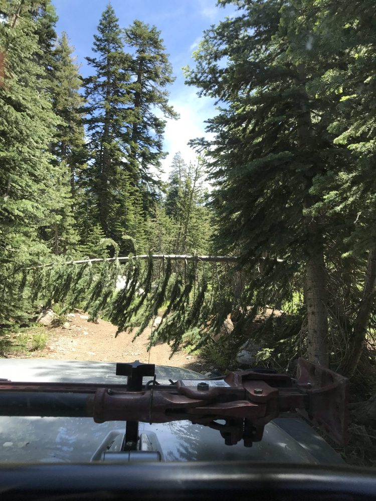 Photo from Strawberry Trail Patrol