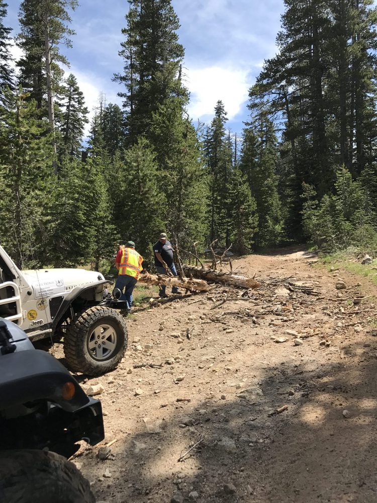 Photo from Strawberry Trail Patrol
