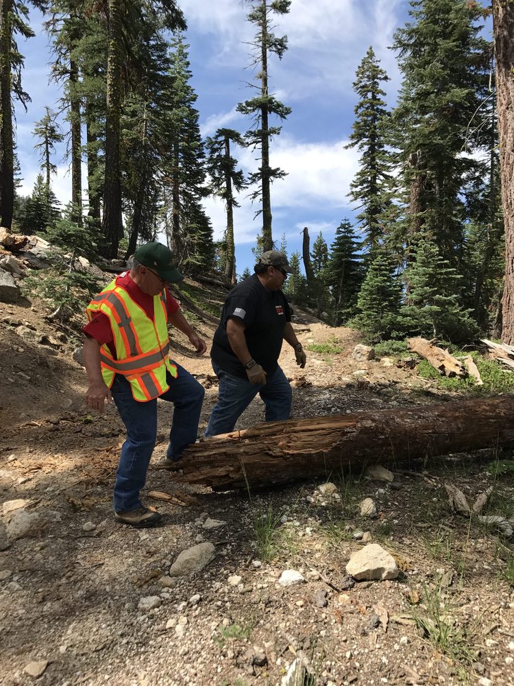 Photo from Strawberry Trail Patrol