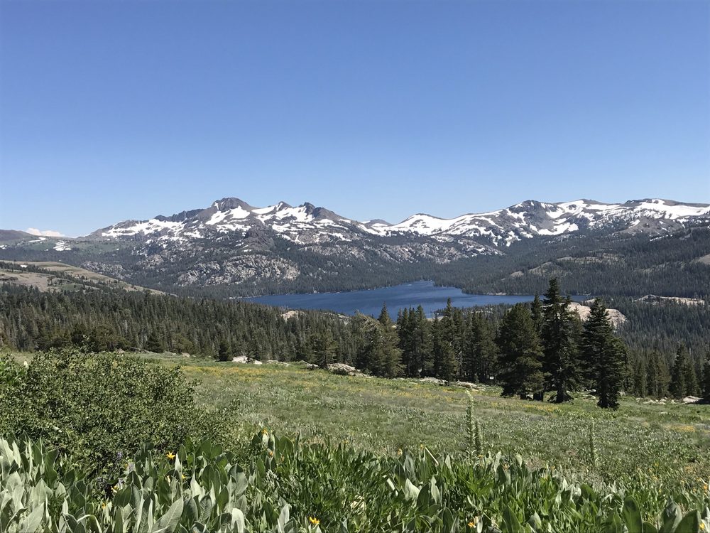 Photo from Strawberry Trail Patrol