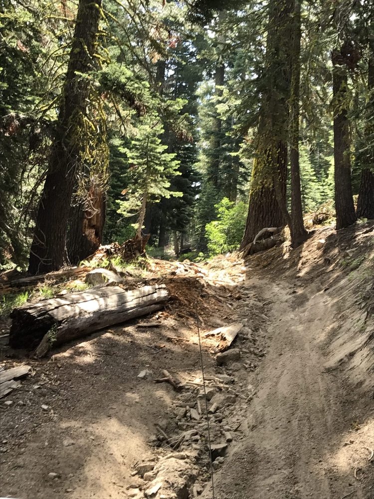 Photo from Strawberry Trail Patrol