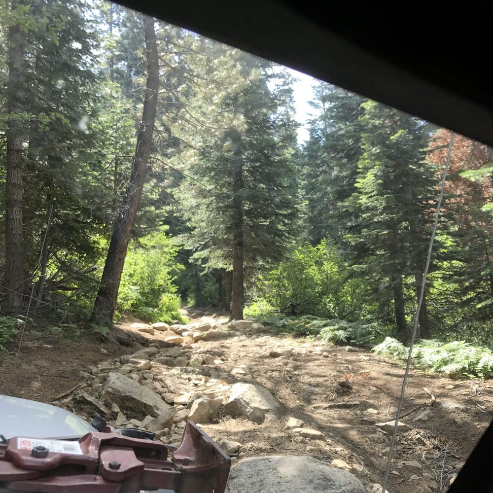 Photo from Strawberry Trail Patrol