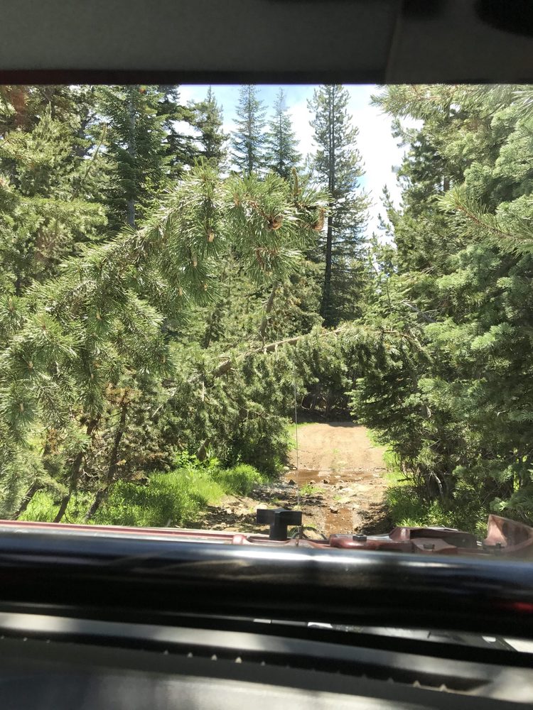 Photo from Strawberry Trail Patrol