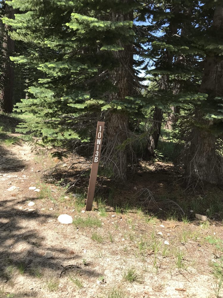 Photo from Strawberry Trail Patrol