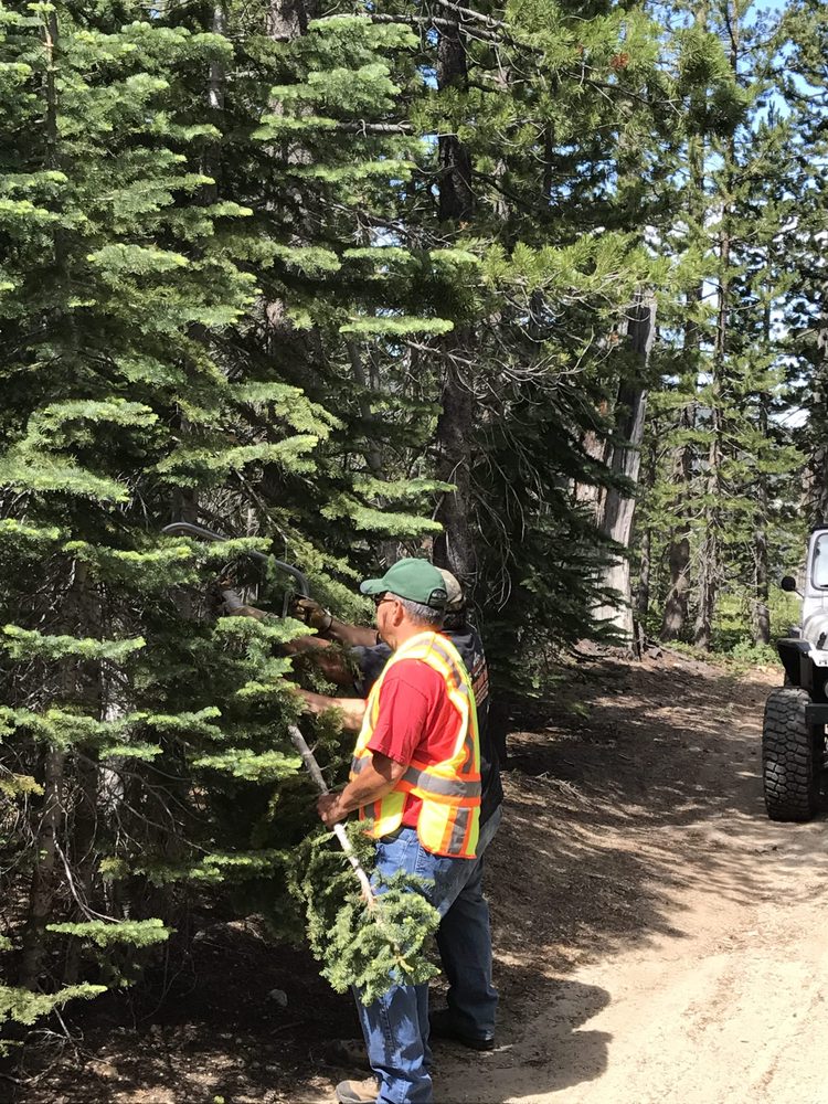 Photo from Strawberry Trail Patrol