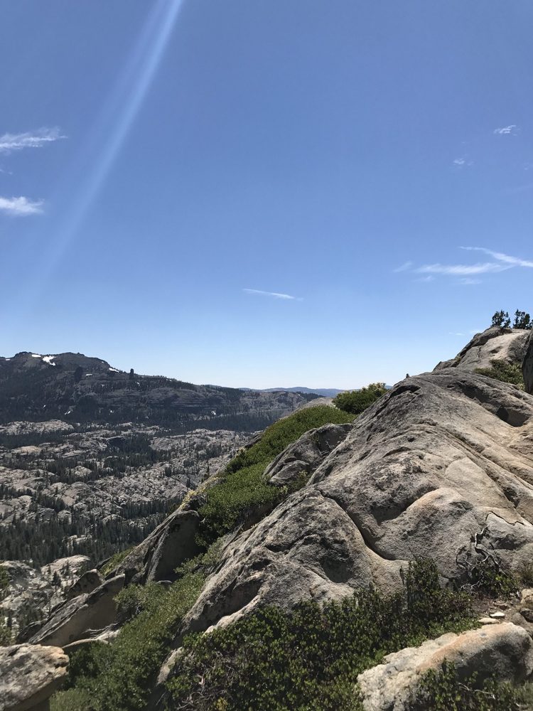 Photo from Strawberry Trail Patrol