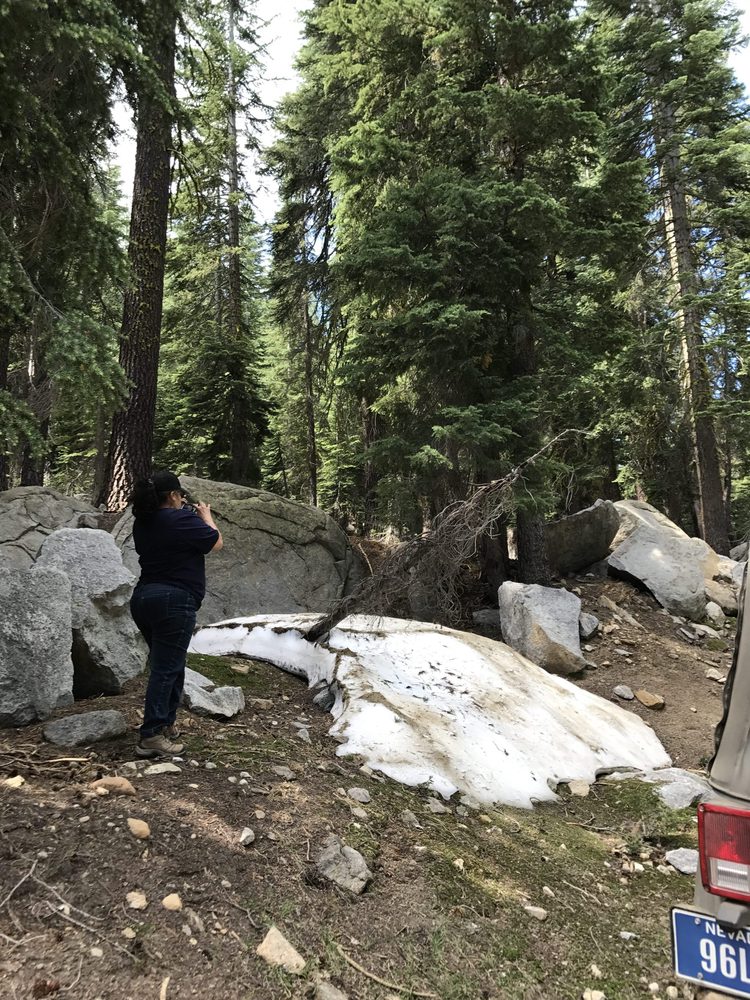 Photo from Strawberry Trail Patrol