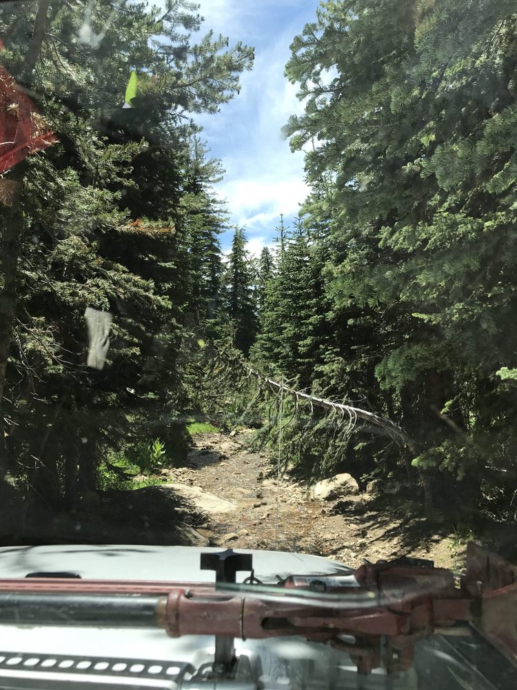 Photo from Strawberry Trail Patrol