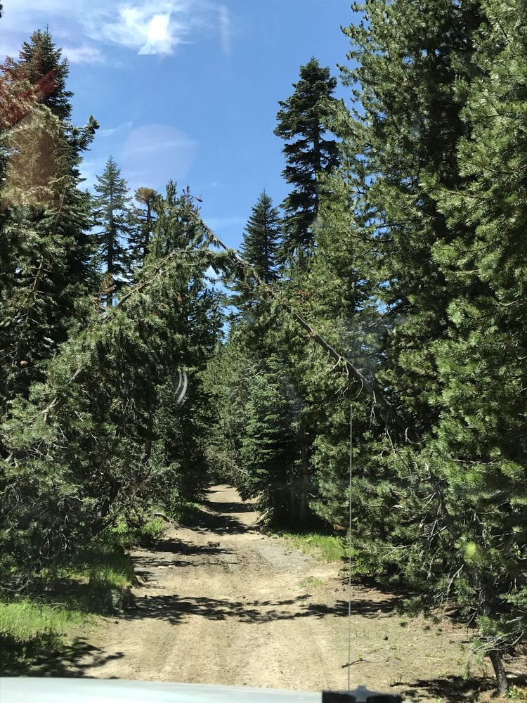 Photo from Strawberry Trail Patrol
