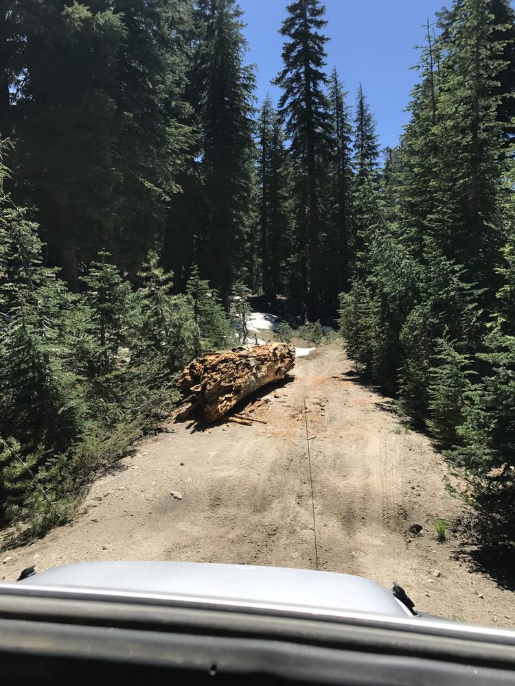 Photo from Strawberry Trail Patrol