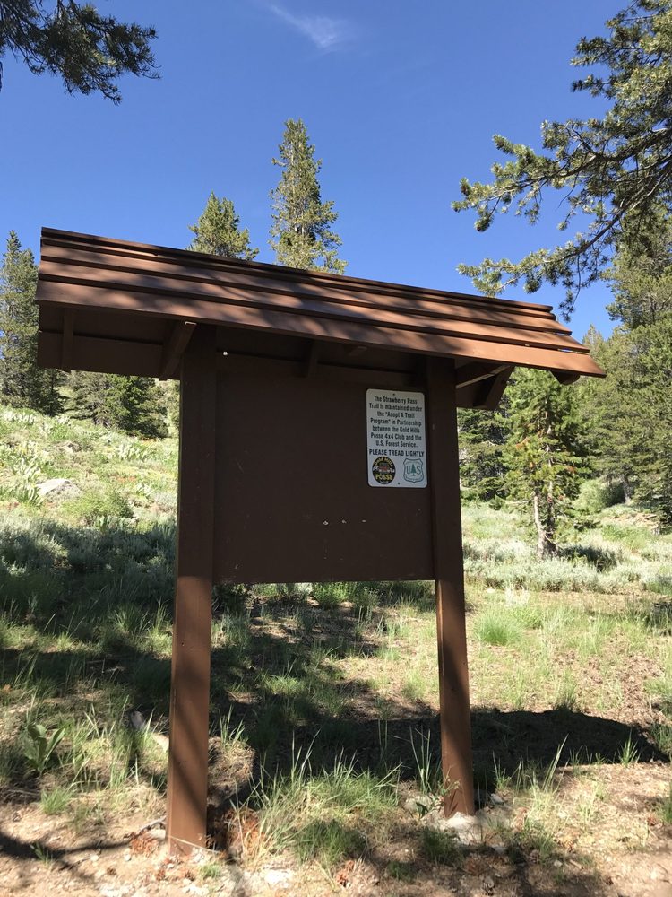 Photo from Strawberry Trail Patrol