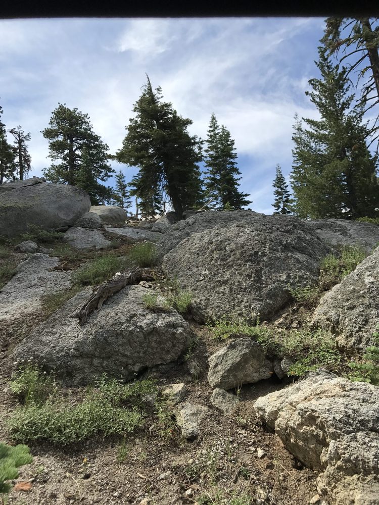 Photo from Strawberry Trail Patrol