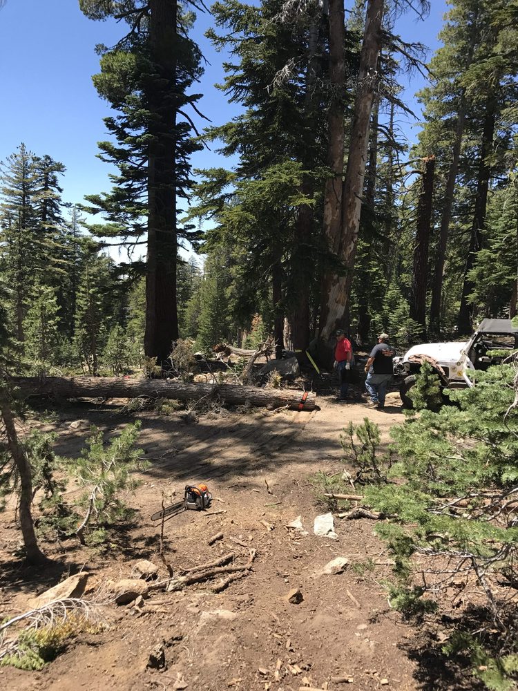 Photo from Strawberry Trail Patrol