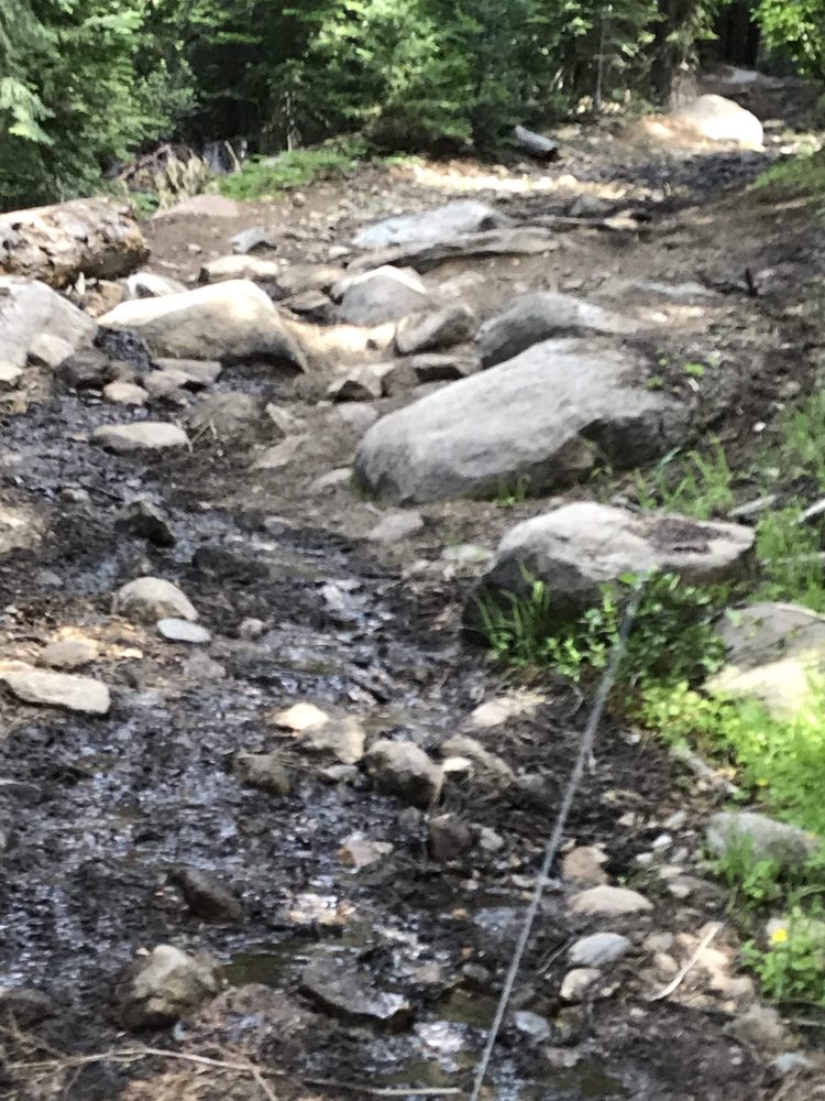 Photo from Strawberry Trail Patrol