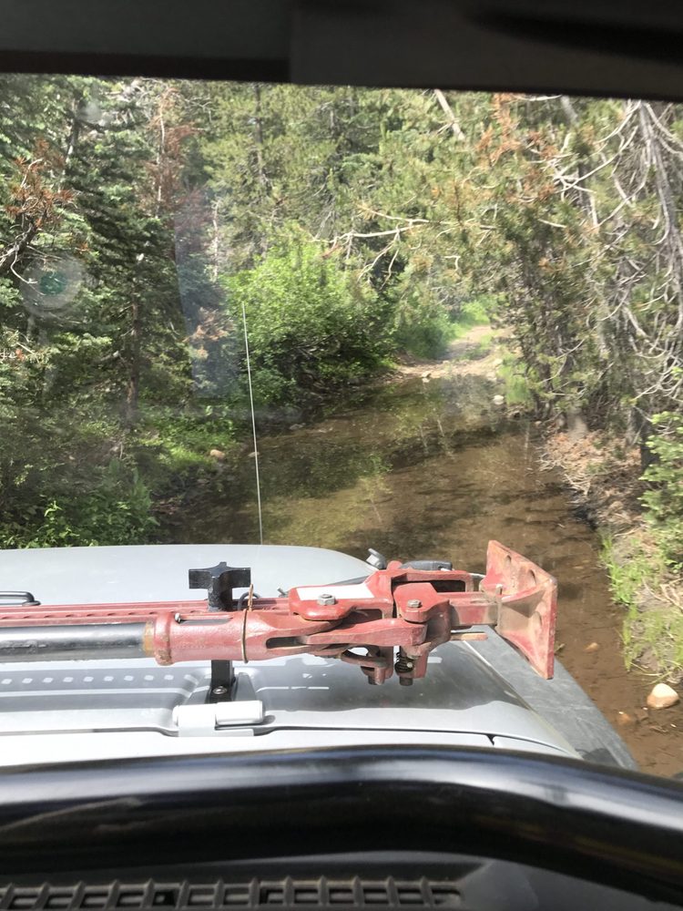 Photo from Strawberry Trail Patrol