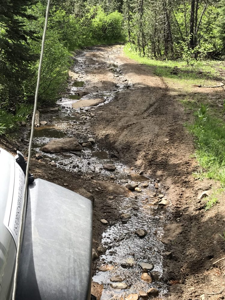 Photo from Strawberry Trail Patrol